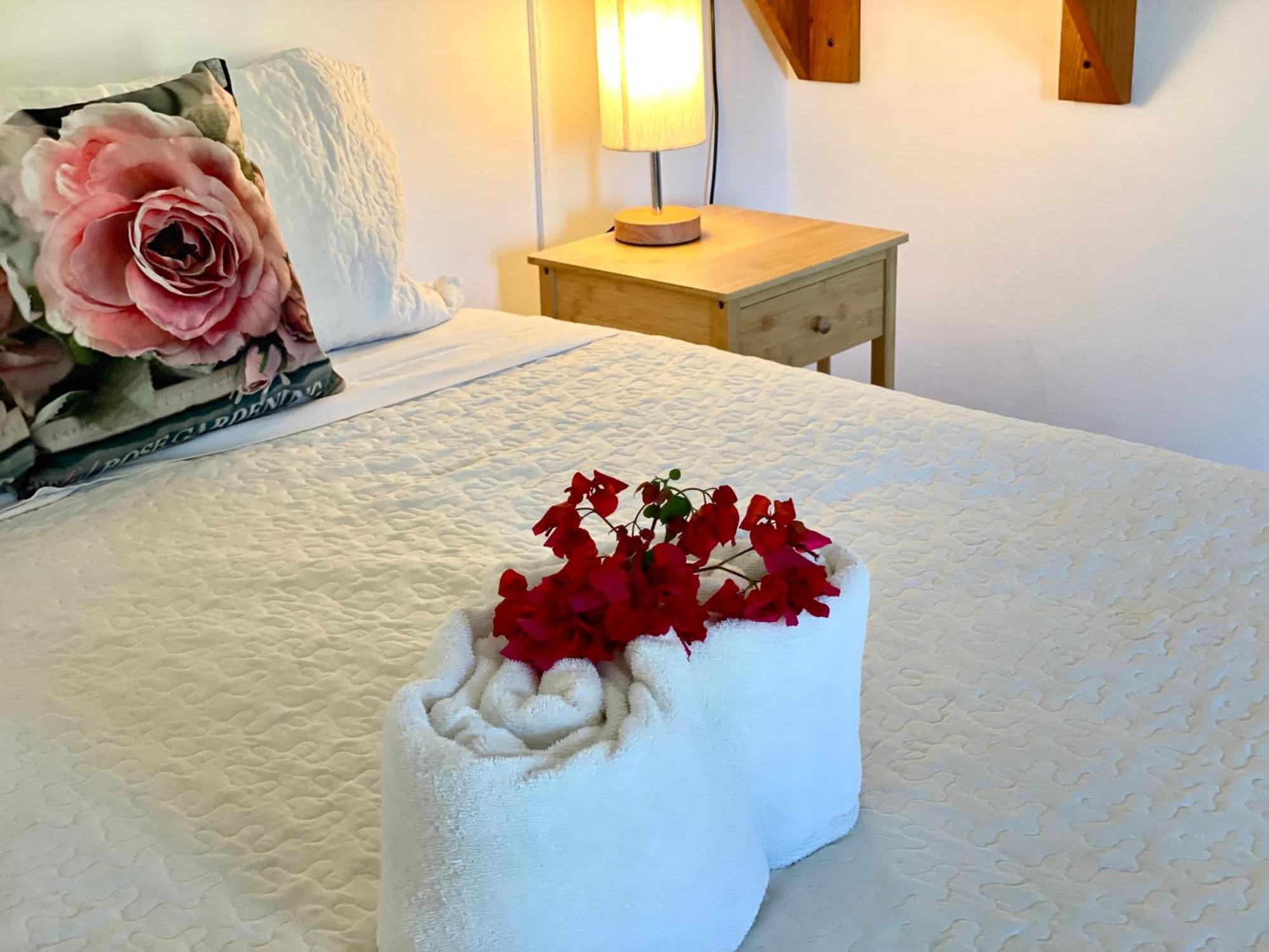 Arena Oceanview Hotel & La Terraza Restaurant Las Galeras Ngoại thất bức ảnh